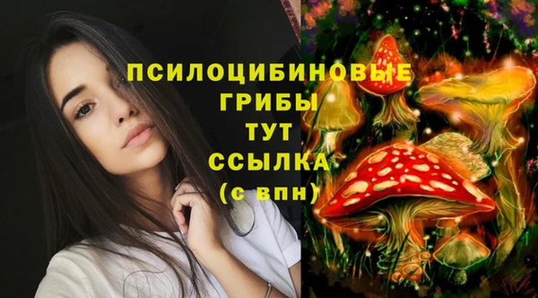 дурь Балахна